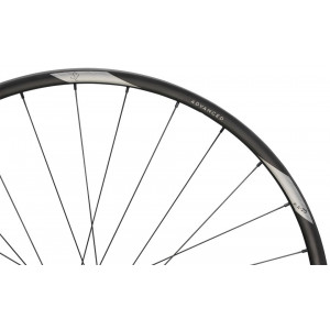 Galinis ratas NEWMEN Advanced Carbon SL X.A.25 29" 28H SP C-Lock 12x148 HG