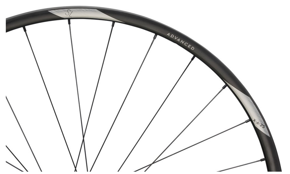 Galinis ratas NEWMEN Advanced Carbon SL X.A.25 29" 28H SP C-Lock 12x148 HG - 2