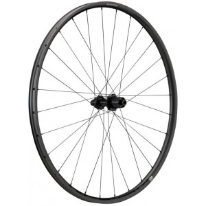 Galinis ratas NEWMEN Advanced Carbon SL X.R.25 622 28H SP C-Lock 12x142 HG