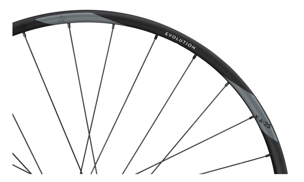 Galinis ratas NEWMEN Evolution Alu SL X.A.25 27.5" 28H SP 6-bolt 12x148 MicroSpline - 2