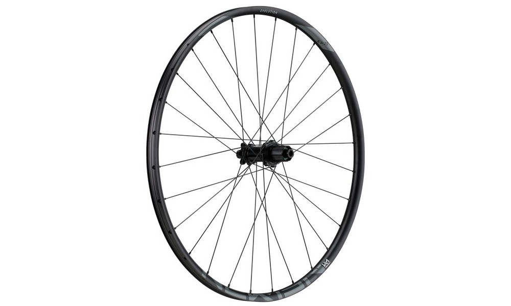 Galinis ratas NEWMEN Evolution Alu SL X.A.25 27.5" 28H SP 6-bolt 12x148 HG - 1