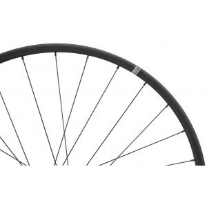 Galinis ratas NEWMEN Evolution Alu X.A.25 27.5" 28H SP 6-bolt 12x148 MicroSpline