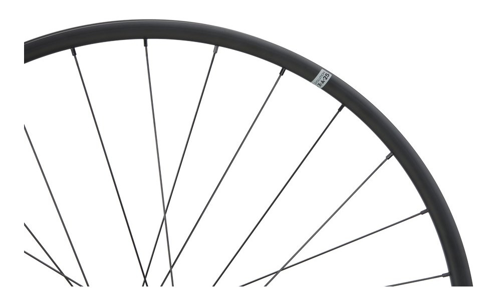 Galinis ratas NEWMEN Evolution Alu X.A.25 27.5" 28H SP 6-bolt 12x148 MicroSpline - 2