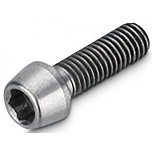 Vairo iškyšos varžtas NEWMEN Hex Titanium M5x16 TL10.5 for Evolution SL