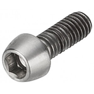 Vairo iškyšos varžtas NEWMEN Hex Titanium M6x16 TL10.5 for Evolution SL