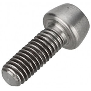 Vairo iškyšos varžtas NEWMEN Hex Titanium M6x16 TL10.5 for Evolution SL