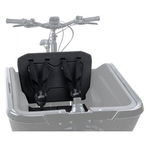 Vaikiška kėdutė Cube Cargo 2.0 for E-bike