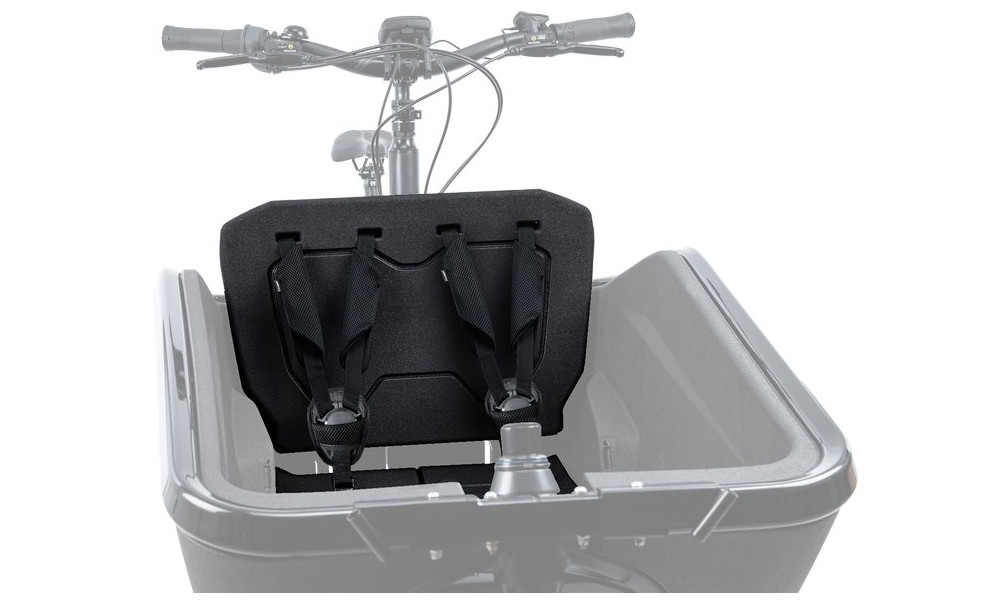 Vaikiška kėdutė Cube Cargo 2.0 for E-bike 