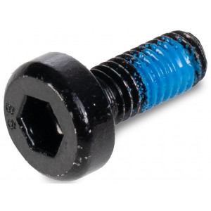 Varžtas ACID M6x14-8.8 spherical