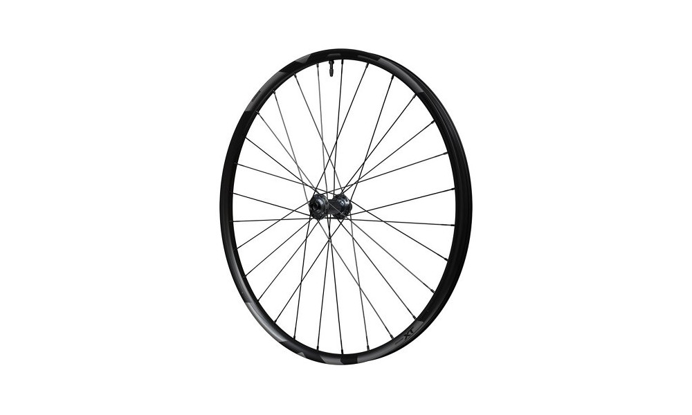 Priekinis ratas 29" Shimano Deore XT WH-M8200-TL Boost 15mm E-Thru Disc CL - 5