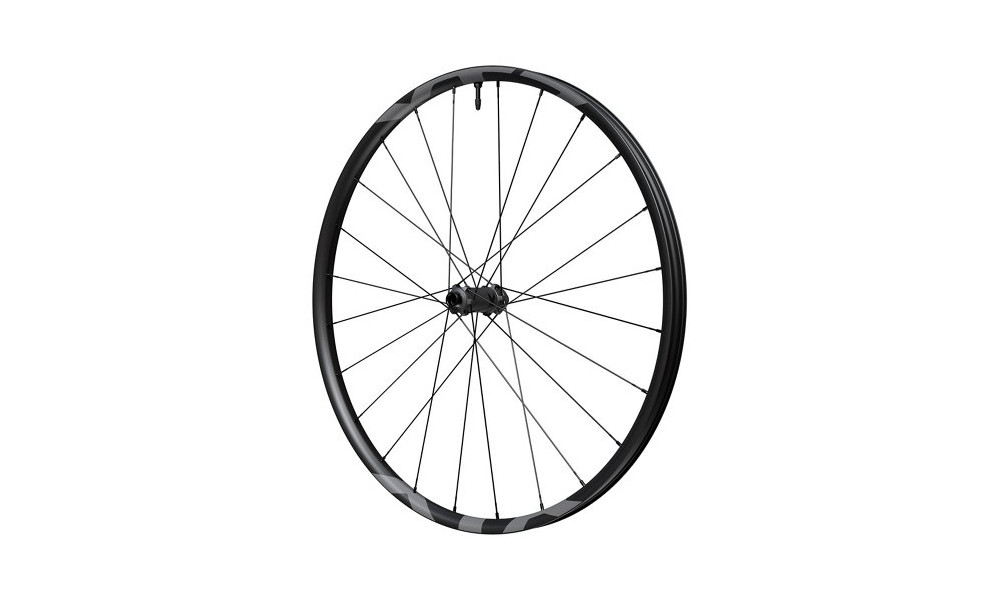 Priekinis ratas 29" Shimano XTR WH-M9200-TL Carbon Boost 15mm E-Thru Disc CL - 4