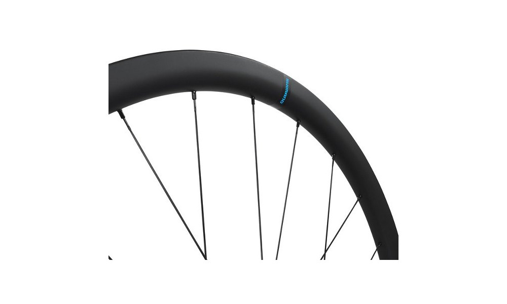Priekinis ratas 28" Shimano WH-RS710-C32-TL Carbon 12mm E-Thru Disc CL - 2