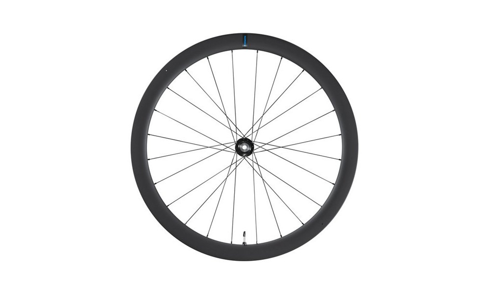 Priekinis ratas 28" Shimano WH-RS710-C46-TL Carbon 12mm E-Thru Disc CL - 1
