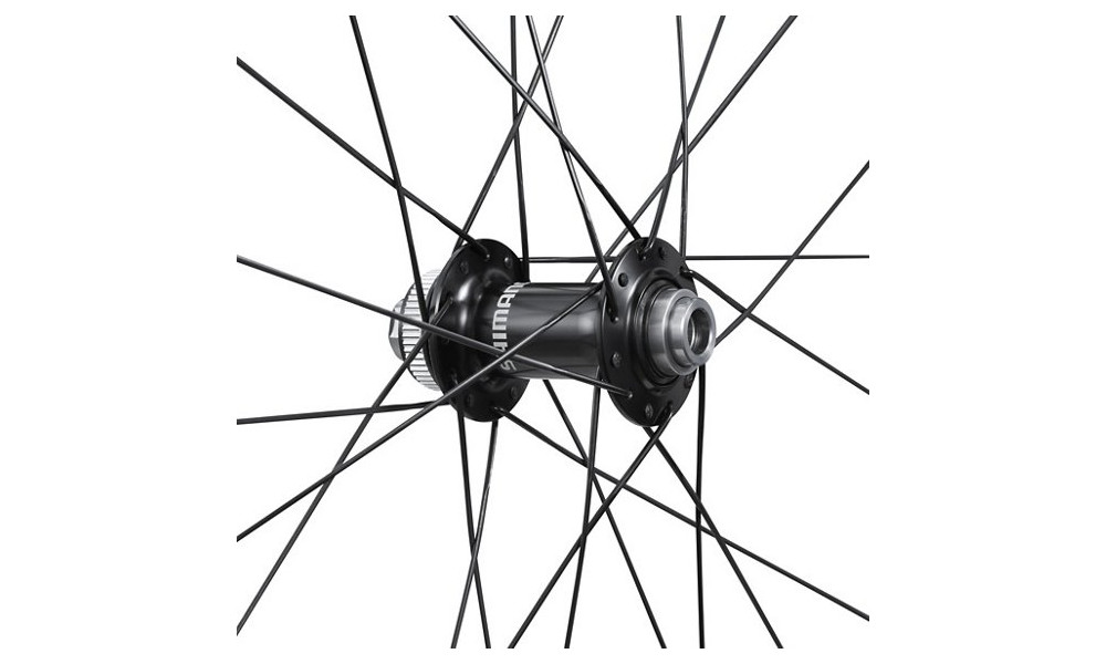 Priekinis ratas 28" Shimano WH-RS710-C46-TL Carbon 12mm E-Thru Disc CL - 4