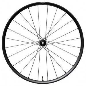 Priekinis ratas 28" Shimano GRX WH-RX180-TL 12mm E-Thru Disc CL
