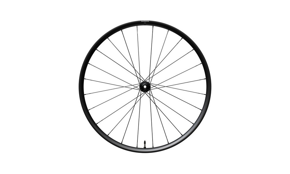 Priekinis ratas 28" Shimano GRX WH-RX180-TL 12mm E-Thru Disc CL - 1