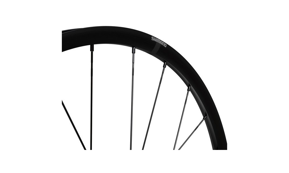 Priekinis ratas 28" Shimano GRX WH-RX180-TL 12mm E-Thru Disc CL - 2