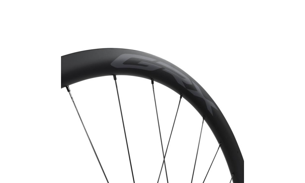 Priekinis ratas 28" Shimano GRX WH-RX870-TL Carbon 12mm E-Thru Disc CL - 2