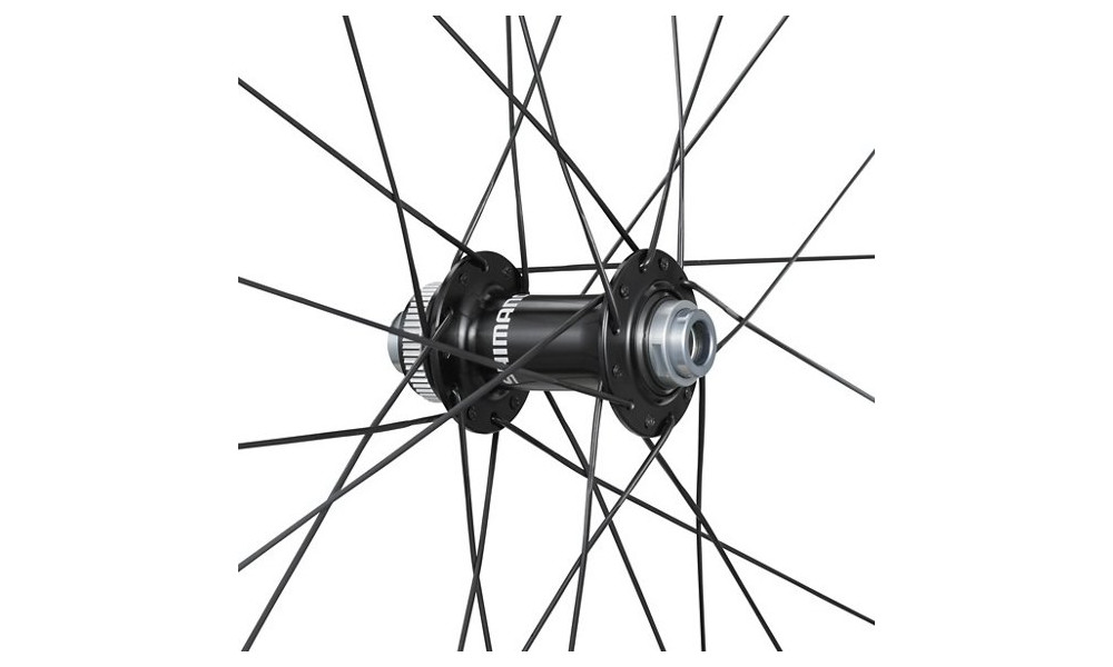 Priekinis ratas 28" Shimano GRX WH-RX880-TL Carbon 12mm E-Thru Disc CL - 3