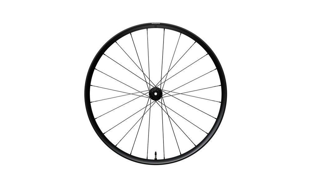 Galinis ratas 28" Shimano GRX WH-RX180-TL 24H 622 CL 12x142 11/12-speed HG - 1