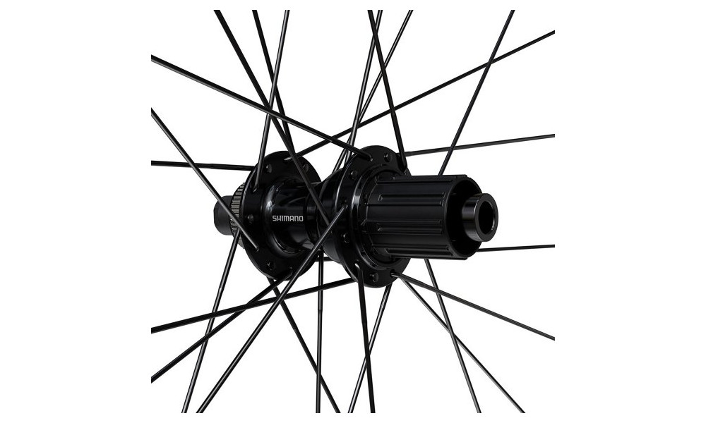 Galinis ratas 28" Shimano GRX WH-RX180-TL 24H 622 CL 12x142 12-speed MicroSpline - 3