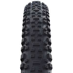 Padanga 26" Schwalbe Rapid Rob HS 425, Active Wired 54-559 / 26x2.10