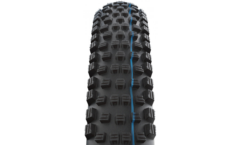 Padanga 29" Schwalbe Wicked Will HS 614 Evo Fold TLE 62-622 / 29x2.40 Super Race Addix SpeedGrip Transparent - 3