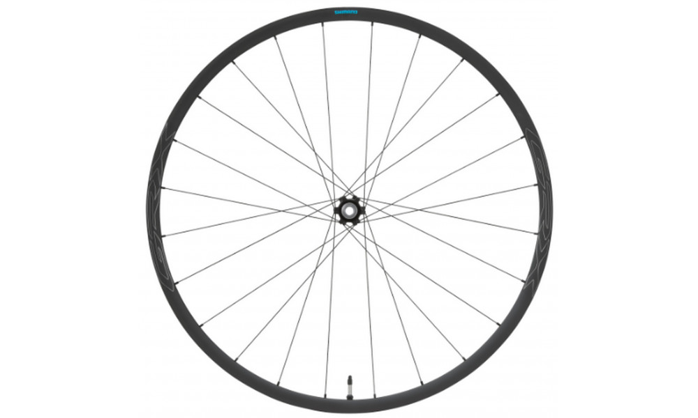 Priekinis ratas 28" Shimano WH-RX570 12mm E-Thru Disc C-Lock 