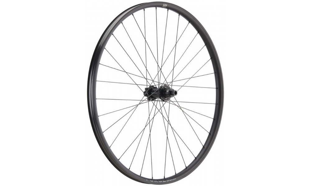 Galinis ratas NEWMEN Forge Alu 30 DH 29" 32H SP 6-bolt 12x157 XD - 1