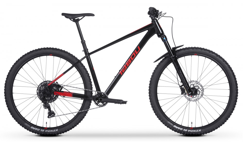 Dviratis Tabou Snake 1.0 29 black-red 