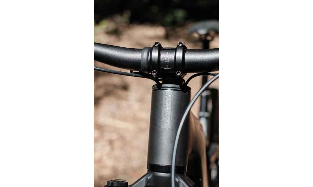 Elektrinis dviratis Raymon Korak Pro 29" 800 2026 pipe grey-black - 3