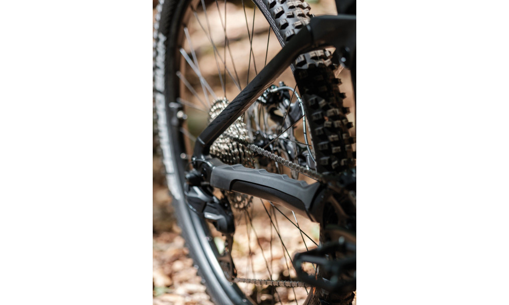 Elektrinis dviratis Raymon Korak Pro 29" 800 2026 pipe grey-black - 7