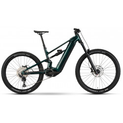 Elektrinis dviratis Raymon Ravor LT Comp 29"-27.5" 840 2026 jade green