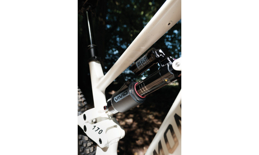 Elektrinis dviratis Raymon Ravor LT Pro 29"-27.5" 840 2026 white sparkle - 4