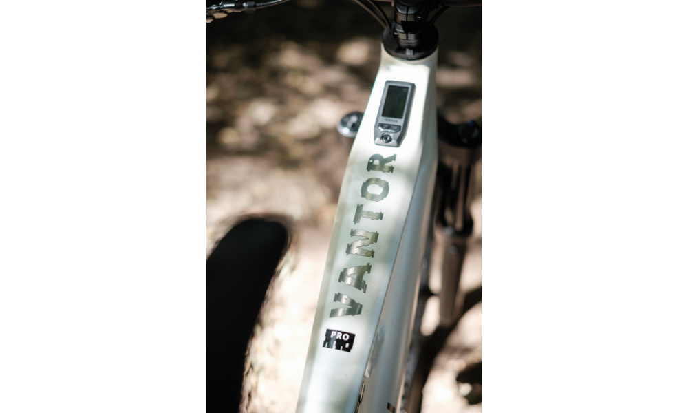 Elektrinis dviratis Raymon Ravor LT Pro 29"-27.5" 840 2026 white sparkle - 5