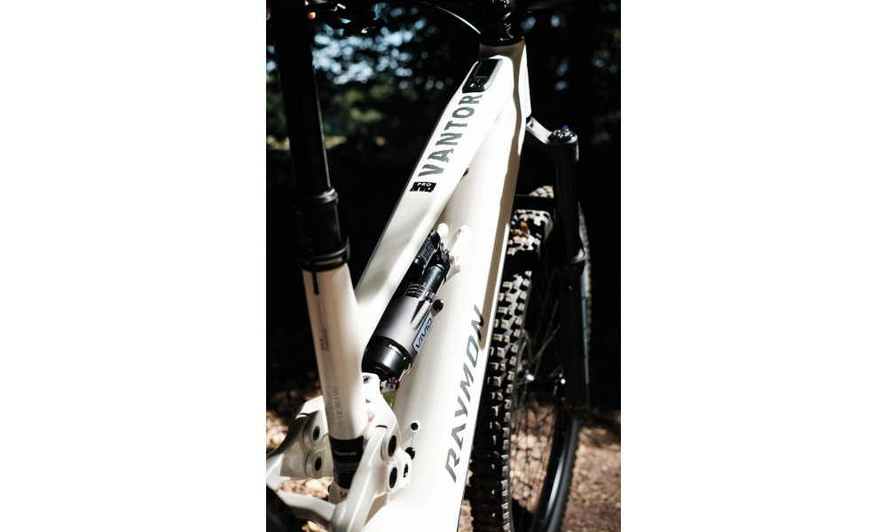 Elektrinis dviratis Raymon Vantor Pro 29"-27.5" 840 2026 white sparkle - 11