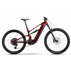 Elektrinis dviratis Raymon Ravor Pro 29"-27.5" 840 2026 rubyred