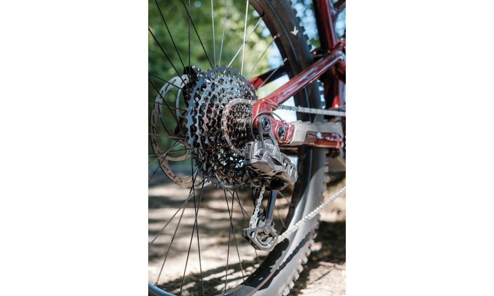 Elektrinis dviratis Raymon Ravor Pro 29"-27.5" 840 2026 rubyred - 3