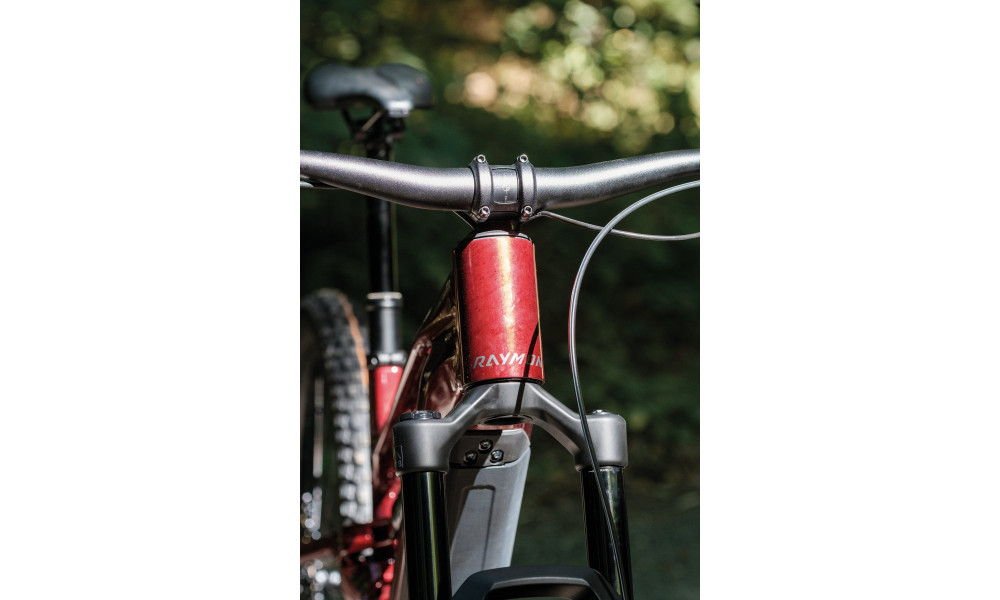 Elektrinis dviratis Raymon Ravor Pro 29"-27.5" 840 2026 rubyred - 7