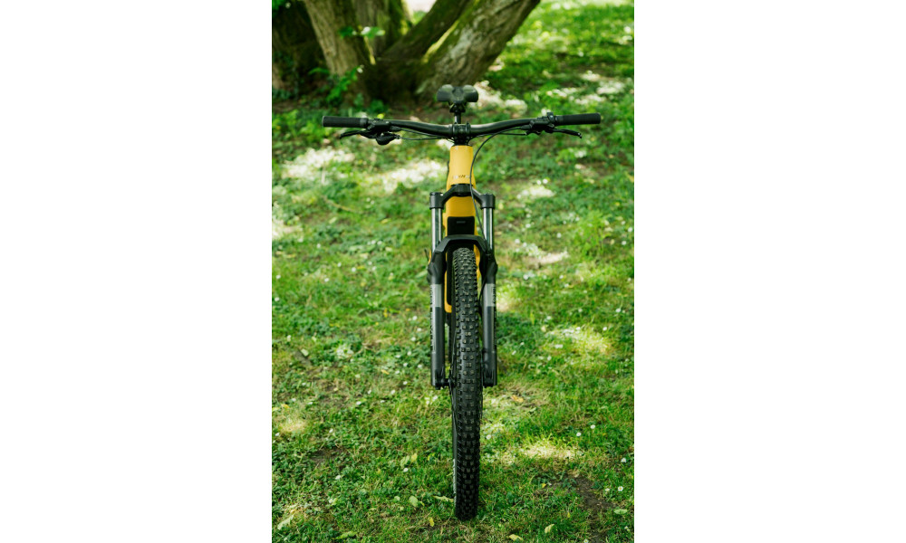 Elektrinis dviratis Raymon Airok Comp 29" 400 2026 kurkuma-brown - 2