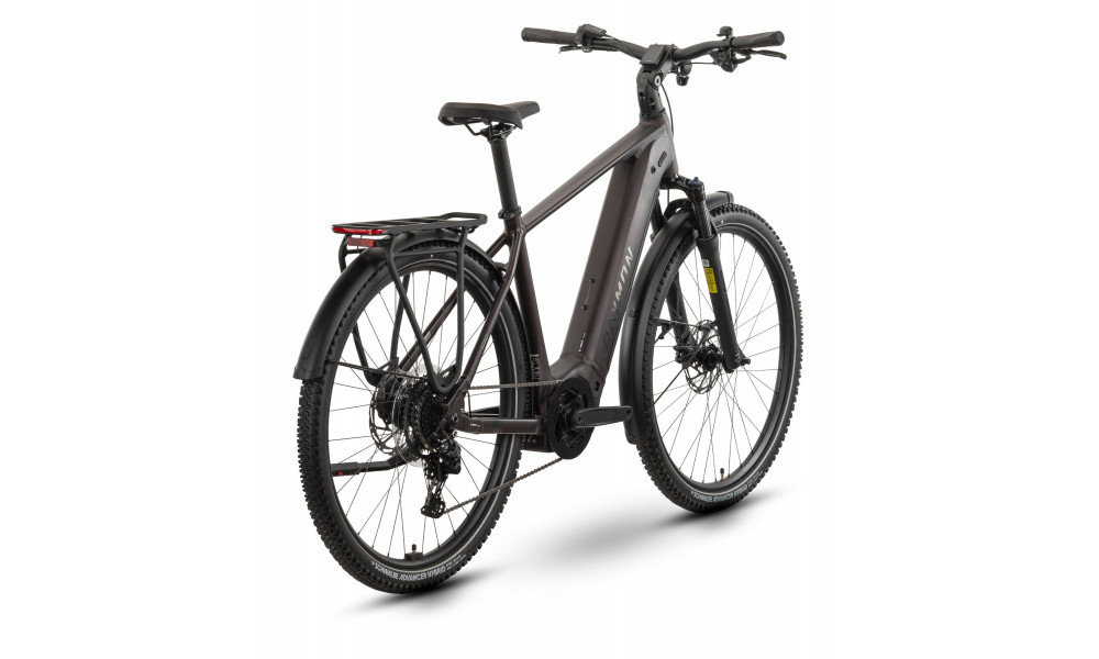 Elektrinis dviratis Raymon Tahona Comp 29" 800 2026 plum noir - 2