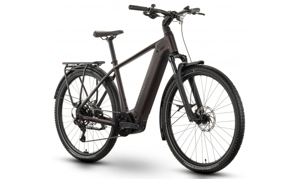 Elektrinis dviratis Raymon Tahona Comp 29" 800 2026 plum noir - 3