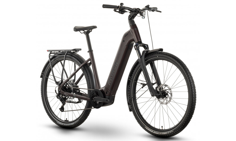 Elektrinis dviratis Raymon Tahona Comp 29" 800 Easy Entry 2026 plum noir - 2