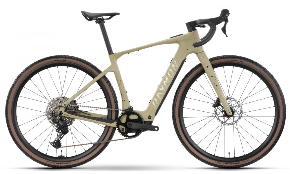 Elektrinis dviratis Raymon Norza Comp 400 2026 greige freckels - 1