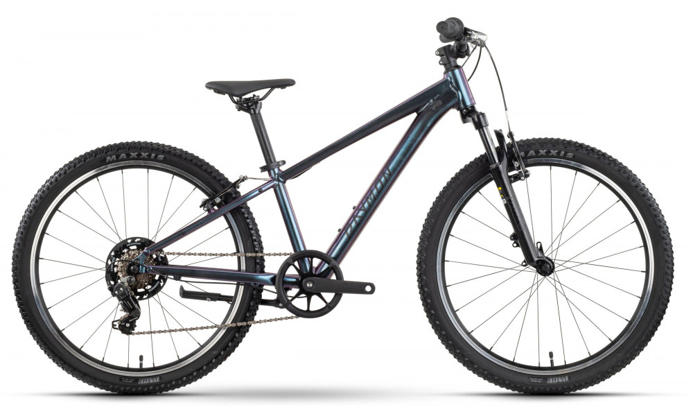 Dviratis Raymon Nayta 24 Comp 2026 iridiumblack - 1