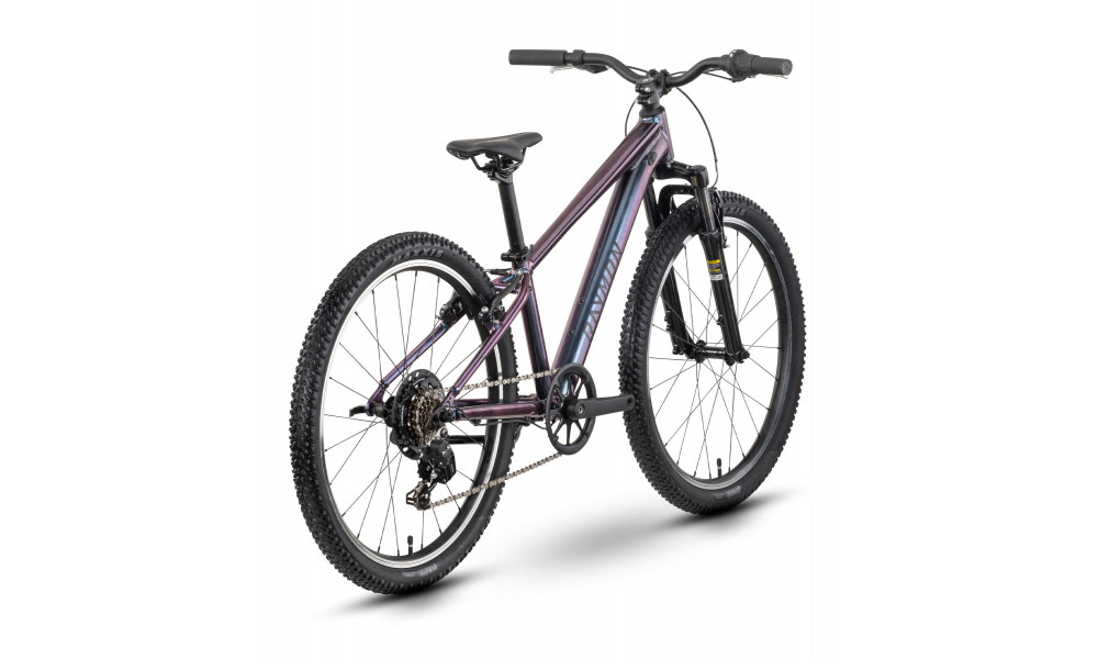 Dviratis Raymon Nayta 24 Comp 2026 iridiumblack - 3