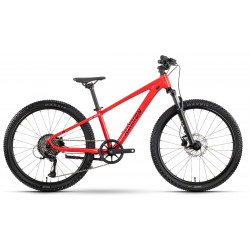 Dviratis Raymon Nayta 24 Pro 2026 red marble