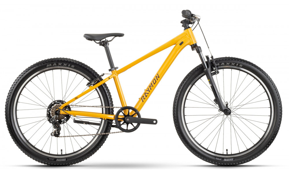 Dviratis Raymon Nayta 26 Comp 2026 kurkuma - 1