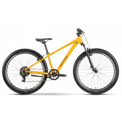 Dviratis Raymon Nayta 26 Comp 2026 kurkuma