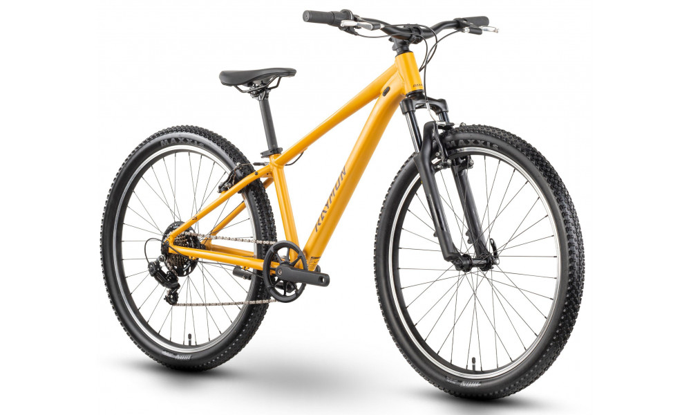 Dviratis Raymon Nayta 26 Comp 2026 kurkuma - 2